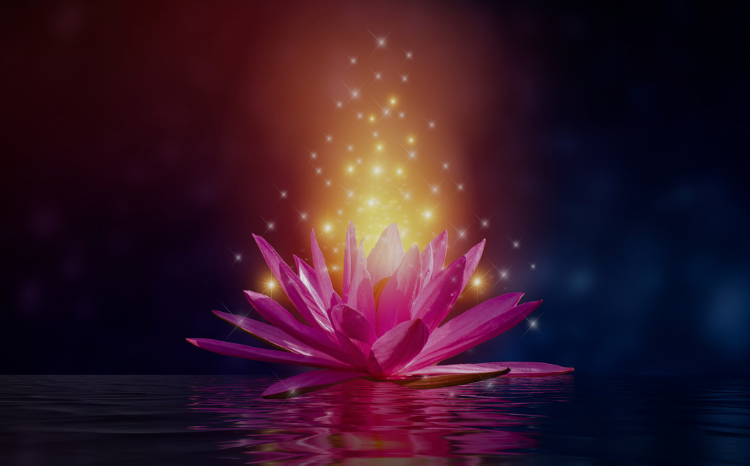 Lotus with Sparkling Light Floating on Water